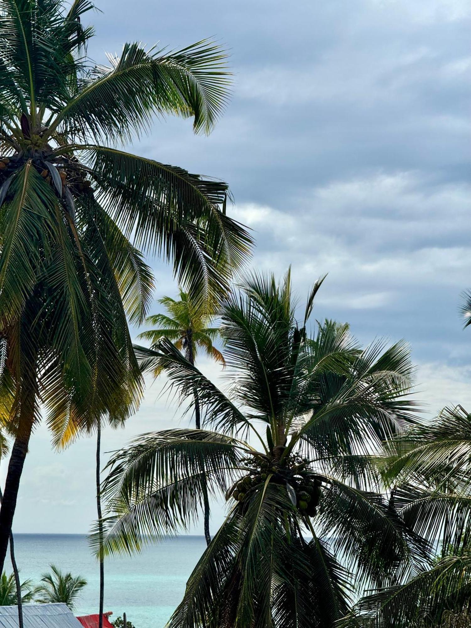 Rafiki Hotel Nungwi Beach 외부 사진